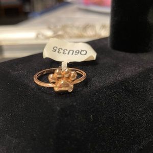 Paw Ring Collection Size 8 🐾